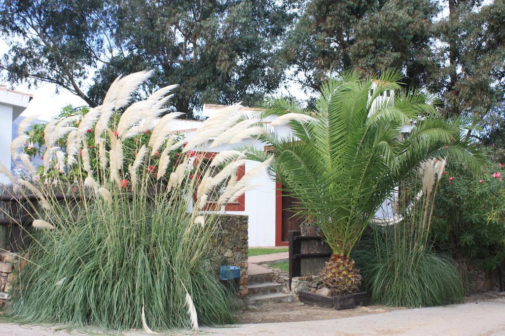 Molino El Mastral Apartment Tarifa Exterior photo